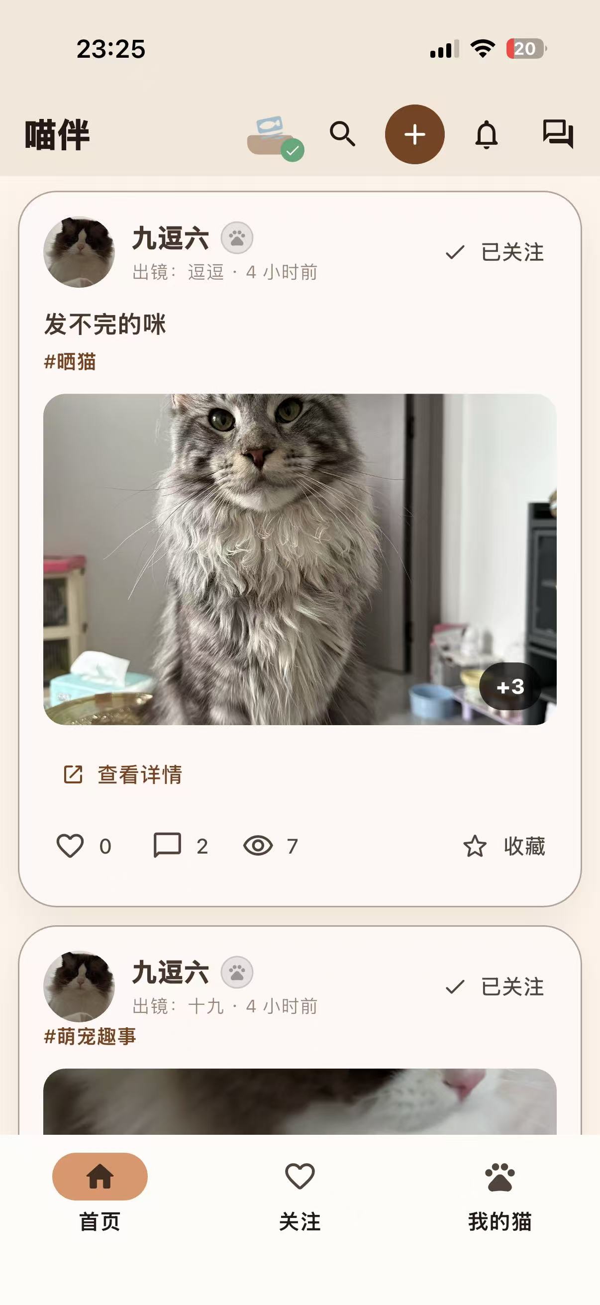 喵伴首页动态界面